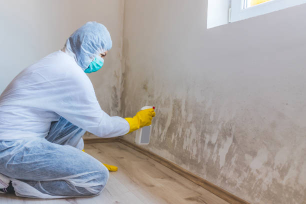 Licensed Crawl Space Mold Remediation service in Clinton, NC - Car Mold Remediation
