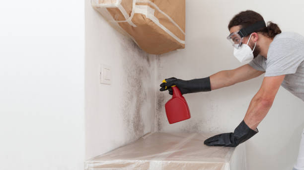 Professional Crawl Space Mold Remediation technician working in Clinton, NC