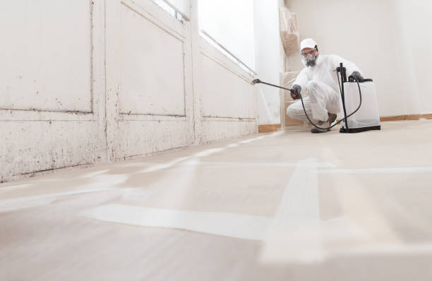 24/7 Emergency Crawl Space Mold Remediation experts in Clinton, NC
