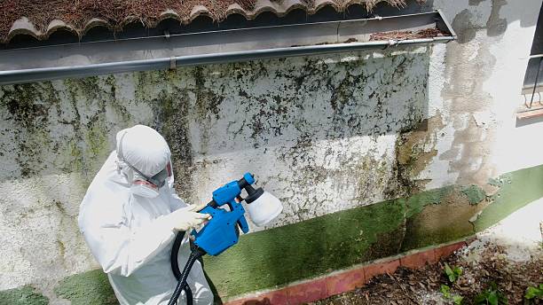 Top rated local Crawl Space Mold Remediation specialists in Clinton, NC